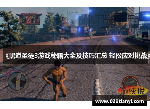 《黑道圣徒3游戏秘籍大全及技巧汇总 轻松应对挑战》
